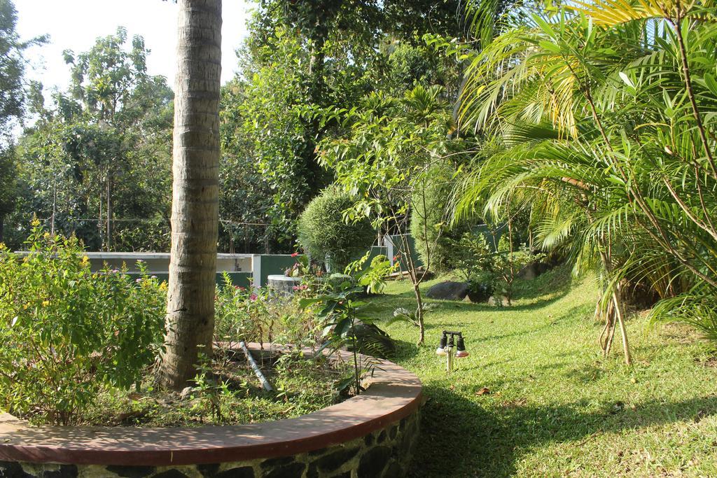 Green View Holiday Resort Kandy Exteriör bild