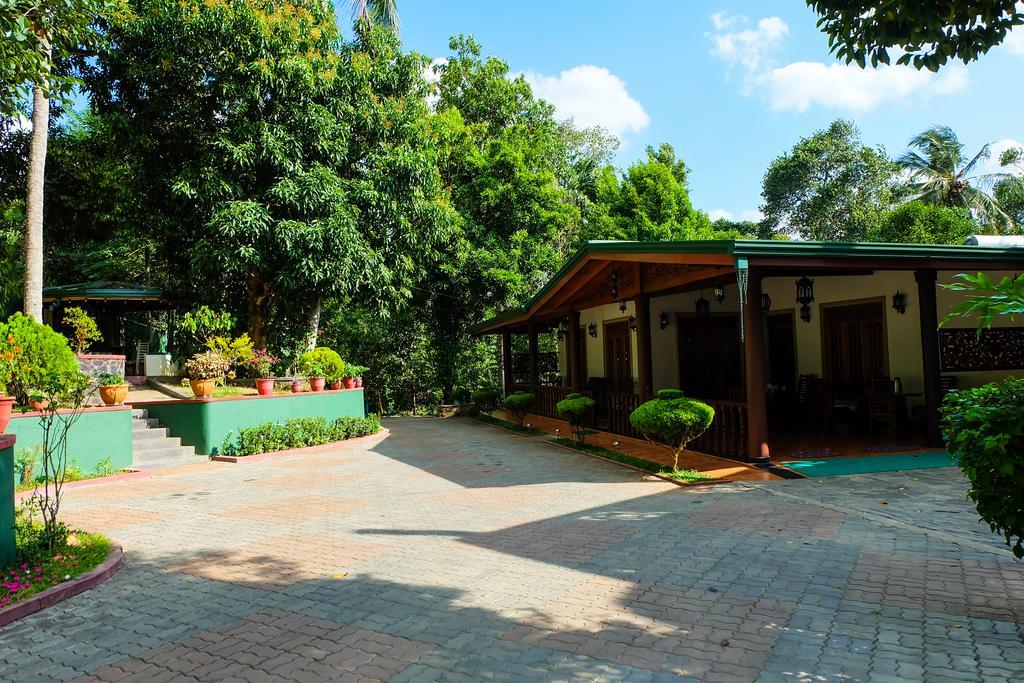 Green View Holiday Resort Kandy Exteriör bild