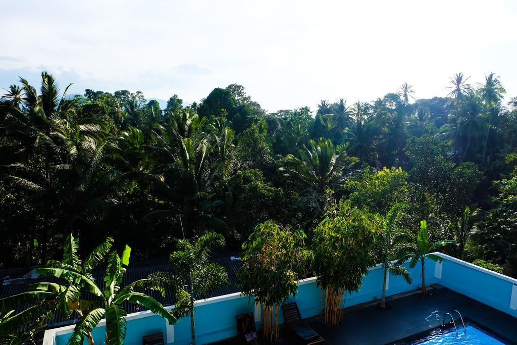 Green View Holiday Resort Kandy Exteriör bild